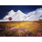 Teemantmaali maastik m&auml;gi ristpistes maastik &uuml;mmargune t&auml;isteemanttikandiga kivid 20X30CM