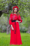 Linane kleit-Vyshyvanka naistele tikanditega, Ukraina kleit Tikitud Vyshyvanka riie, Tikitud kleit, Tikitud riided XXS-XS