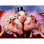 Pig DIY 5D Teemantmaal Ristpistes Loom T&auml;is&uuml;mmargune Vaigust Teemanttikandi Komplekt Pilt kividest Mosaiik Seinakunst 20X30CM punane