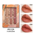 3tk/komplekt Kerge Sweet Love Velvet Mist huulepulk veekindel ja higine mittekleepuv Cup Solid huulev&auml;rvi kosmeetika kinkekarp
