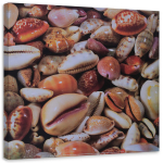 L&otilde;uenditr&uuml;kk Shells Sea Nature 30x30 beež