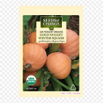 Gourd Doll Triikraud soojus&uuml;lekandel tr&uuml;kkimisel Vin&uuml;&uuml;lplaastrid Kleebis riietele Ise ise teha aplikatsioonid pestavad plaastrid