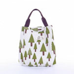 Lastele m&otilde;eldud isoleeritud l&otilde;unakott poistele ja t&uuml;drukutele termovoodriga kaasaskantav k&uuml;lmakott