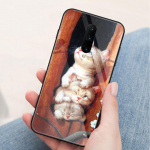 Uus For Oneplus 7pro &uuml;mbris Klaasist tagakaas armas kass Oneplus coque 6t &uuml;mbris for Oneplus 1+ 5 5T 6 Oneplus 6 6t 7 pro Oneplus 5T