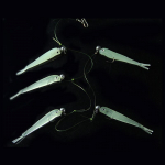 Nabor Primanok Cluster Soft Lure Fishing Bait Pesca Jig Head T Tail Wobbler Metal Fish Sea Bass Leurre Tackle Swim Cast Bait