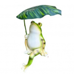 Konnakuju Dekor Vaik Konn Lehega Vihmavari Figuur Kaunistus Veekindel Mini Konn