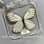 Premium putukate n&auml;idiste kollektsioon &ndash; p&auml;ris raamitud liblikad ja mardikad teadushariduse ja kodukaunistamise jaoks One Size