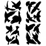 62KD 16x Akna klambrid Koolibri Akna kleepsud Klaasukse kleebised Lindude v&auml;ltimine CHINA