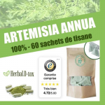 Compl&eacute;ment Alimentaire Herbal D-tox Infusion Renforcement de L'organisme Art&eacute;misinine ~ Armoise Pure, Artemisia Annua L 60 sachets