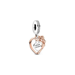 Pandora S&uuml;dame ja Roosiga V&otilde;lu Naiste Ehted Roosa Kuld 789290C01 Rose Gold