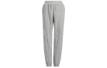 Adidas Ivy Park Halls Of Ivy Sametist Dressip&uuml;ksid K&otilde;igile Soolistele HG2524 L