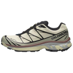 Salomon XT-6 GORE-TEX Aspargus Green Tea Chocolate Unisex tossud L49202200 36⅔