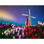 5D isetegemise teemantmaal Ristpistega &uuml;mmargune teemanttikandid Tulbi ja tuuleveski pilt 20X30CM