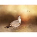 T&auml;is&uuml;mmarguse puuriga teemanttikand 20X30CM