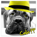 Les Tr&eacute;sors De Lily [P6478] - l&otilde;uend  Loomade armastus  hallroheline (koer) - 40x40 cm kollane