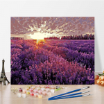 DIY maalimine numbrite j&auml;rgi K&auml;sit&ouml;&ouml; Kunst Kodukaunistamine Hobid Digitaalne &otilde;limaal Numbrite maalimine 40x50cm no frame