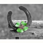 5D DIY Teemantmaaling Hobuseraua ja lille ristpistes Mosaiik Teemanttikandid Roos T&auml;is&uuml;mmargune/ruudukujuline puur Kodukaunistus Round 20x30cm