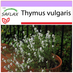 SAFLAX - Harilik t&uuml;&uuml;mian - 200 seemet - Thymus vulgaris