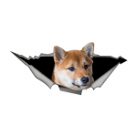 B0755# Shiba Inu koerakleebis auto vin&uuml;&uuml;lkleebise veekindlal kaunistusauto kleebistel 17cm-Longest Side