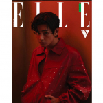 BTS V KAAS ELLE 2023 APRILLI V&Auml;LJAANNE 3 t&uuml;&uuml;pi B TYPE