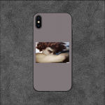 Fallen Angel Alexandre Cabaneli telefoni&uuml;mbris iPhone 11 12 Mini 13 14 Pro XS Max X 8 7 6s Plus 5 SE XR Shelli jaoks iPhone14ProMax