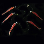 Nabor Primanok Cluster Soft Lure Fishing Bait Pesca Jig Head T Tail Wobbler Metal Fish Sea Bass Leurre Tackle Swim Cast Bait