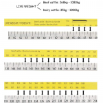 Loomad Loomad Keha Sead Veised Kaal M&otilde;&otilde;dulint Farm Lehma Joonlaud Vet T&ouml;&ouml;riistad