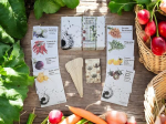 Coffret de Graines - Sp&eacute;cial Balcon & Terrasse - SemiSauvage Permaculture