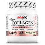 Amix - Collagen Viscofan Drink, 300 g. chocolate