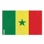 Drapeau S&eacute;n&eacute;gal 128 x 192 cm