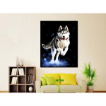 Teemantmaali universum h&uuml;ppav koer ristpistes teemanttikandid mustrid kivist teemant 20X30CM