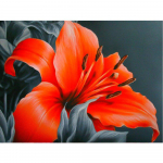 Teemanttikandid Lilled T&auml;is&uuml;marad teemantmosaiikmaal Dekoor Piltide kristall N&auml;put&ouml;&ouml; 20X30CM