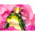 T&auml;ielik 5D Teemantmaaling Multifilm Konnaprints Mosaiik Tikand Ristpistes Kodukaunistus K&auml;sitsi valmistatud 25x30cm