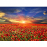 DIY 5D teemantmaalid p&auml;ikeseloojangu lilled maastik tikandid ristpistes komplektid 20X30CM punane