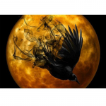 5D DIY Teemantmaal Tantsiv vares kuu all Ristpistete komplekt Mosaiik Teemanttikandid Roos T&auml;is&uuml;mmargune/ruudukujuline puur Kodukaunistus Round 20x30cm