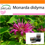 SAFLAX - Aed kotis - Bergamoti / Oswego tee - 20 seemet - Substraadiga sobivas p&uuml;stises kotis - Monarda didyma