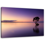 Feeby l&otilde;uenditr&uuml;kk, &Uuml;ksildane puu j&auml;rvel 60x40 lilla