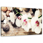L&otilde;uenditr&uuml;kk Orchid Zen Stones White 60x40 beež