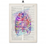 Aju S&uuml;da Kops Neer Rinnaku Inimese anatoomia Vintage plakat Seinakunstitr&uuml;kk L&otilde;uendimaal Seinapildid elutoa sisekujunduseks A4 21X30cm No Framed