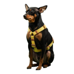Bodelang puppy puhtast puuvillast H-kujuline rinnarihm, kollane black