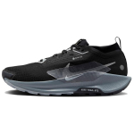Nike Pegasus Trail 5 GORE-TEX Must H&otilde;behall Meeste Tossud Lahedalt Hall Antratsiit FQ0908-001 41