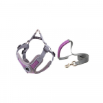 Reguleeritavad koerarakmed jalutusrihmade komplekt Helkur kutsika rinnarihm Koera helkur rind seljas k&otilde;ndimine sinine