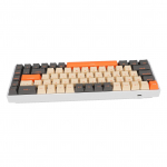 60 protsenti mehaaniline klaviatuur 68 klahvi RGB taustvalgustusega ergonoomiline Type-C juhtmega m&auml;nguklaviatuur punasega