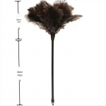 Ostrich Feather Duster with Solid Wood Handle - Superior Cleaning & Dusting Tool