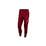 Nike Liverpool m&auml;ngijaversioon jalgpalli treeningp&uuml;ksid hooaeg 2021-2022 mehed alumised osad punane DB0197-677 M