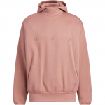 Adidas St Fl Hoody Sport vabaaja kapuuts, meeste kapuuts, soe-maapruun JN0117 XL