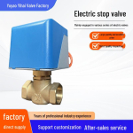 220V Messingist Kahesuunaline Elektriklapp - Tavaliselt Suletud, Paksustatud Korpusega K&uuml;ttes&uuml;steemidele ja Ventilatsioonile Electric Valve Single Actuator