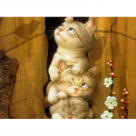 T&auml;is&uuml;mar teemant 5D DIY Teemanttikandid Kahe kassi teemantmaaling ristpistes 20X30CM