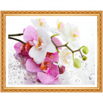 5D DIY Teemanttikandid Roosa orhidee teemantmaal Ristpistes t&auml;ispuuritud kivikivist kodukaunistus 20X30CM