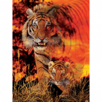 Loomade teemantmaal  Tiger King's Babystep  5D DIY teemanttikandid teemantmosaiik 20X30CM